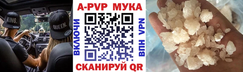 A PVP СК Щигры